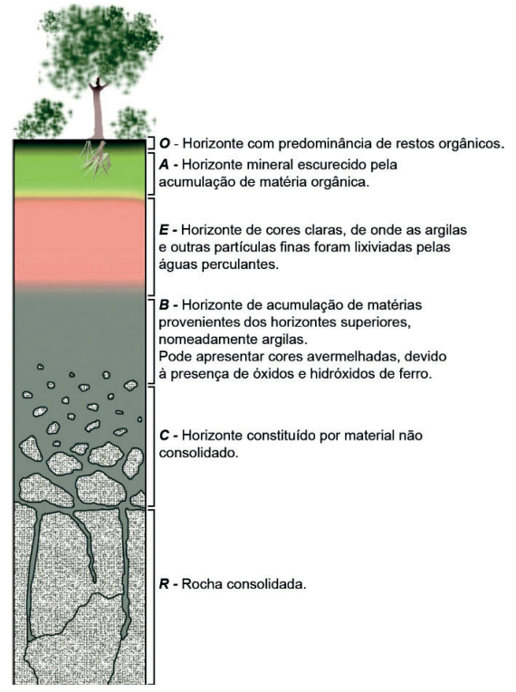 Solos I - Fatores De Formação, Horizontes E Tipos Principais